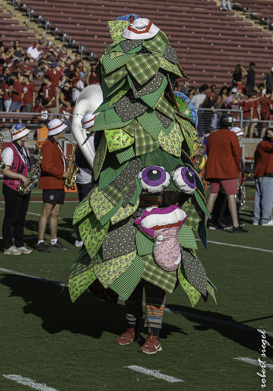 stanford football 2025